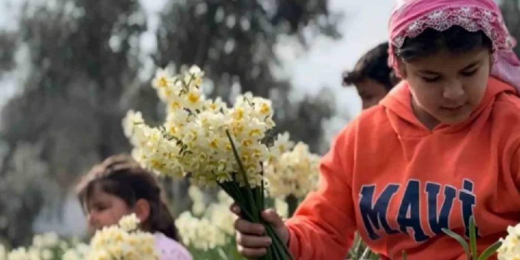 Alzheimer tedavisinin kritik maddesi: ‘Beyaz altın’ hasadı başladı! 4